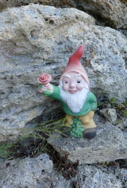 Foto Gartenzwerg